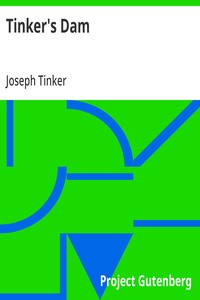 Cover of Tinker's Dam — A Reader’s Guide