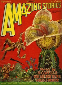 Cover of The radio ghost — Inside the Cla...
